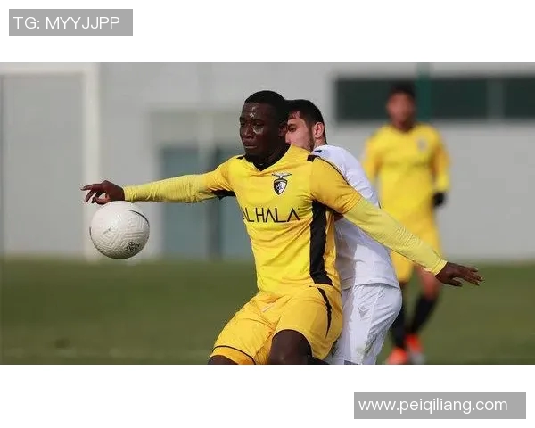 波尔蒂茫主场迎战布拉加期待精彩对决双方争夺胜利的激烈较量 波尔蒂茫主场迎战布拉加期待精彩对决双方争夺胜利的激烈较量