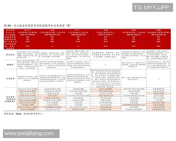 灰熊与小牛对决分析让分盘口走势及投注策略探讨