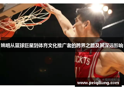 姚明从篮球巨星到体育文化推广者的跨界之路及其深远影响