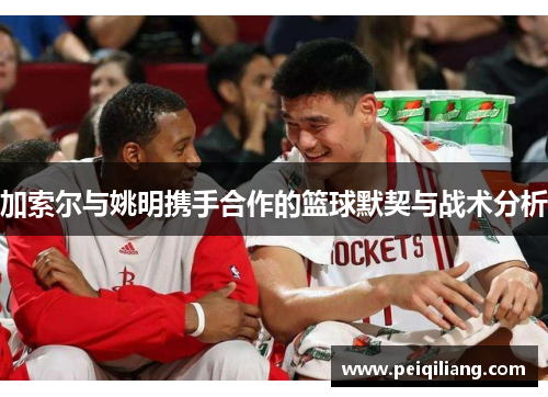 加索尔与姚明携手合作的篮球默契与战术分析