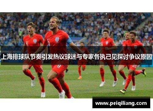 上海排球队节奏引发热议球迷与专家各执己见探讨争议原因