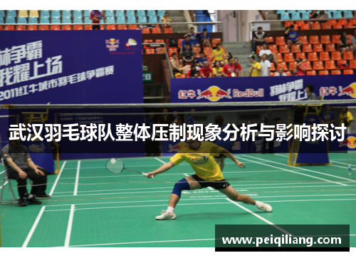 武汉羽毛球队整体压制现象分析与影响探讨