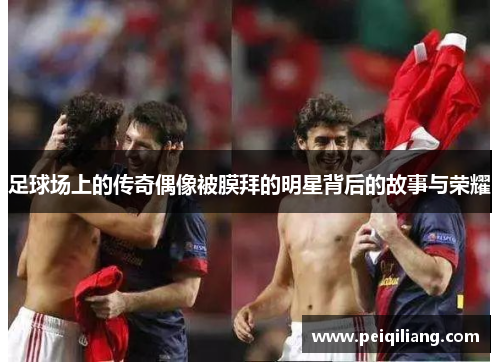 足球场上的传奇偶像被膜拜的明星背后的故事与荣耀