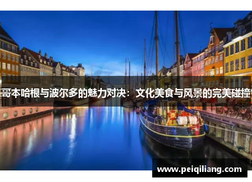 哥本哈根与波尔多的魅力对决：文化美食与风景的完美碰撞