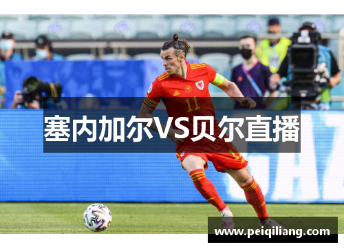 塞内加尔VS贝尔直播