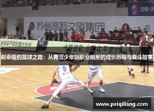 赵泰隆的篮球之路：从青涩少年到职业明星的成长历程与奋斗故事